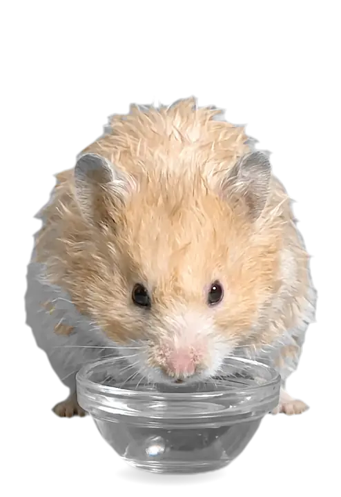 喝水